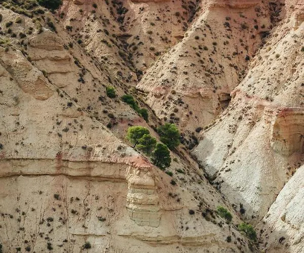 Hébergement de vacances Districthive Colony - Granada *